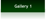 Gallery 1