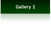 Gallery 2